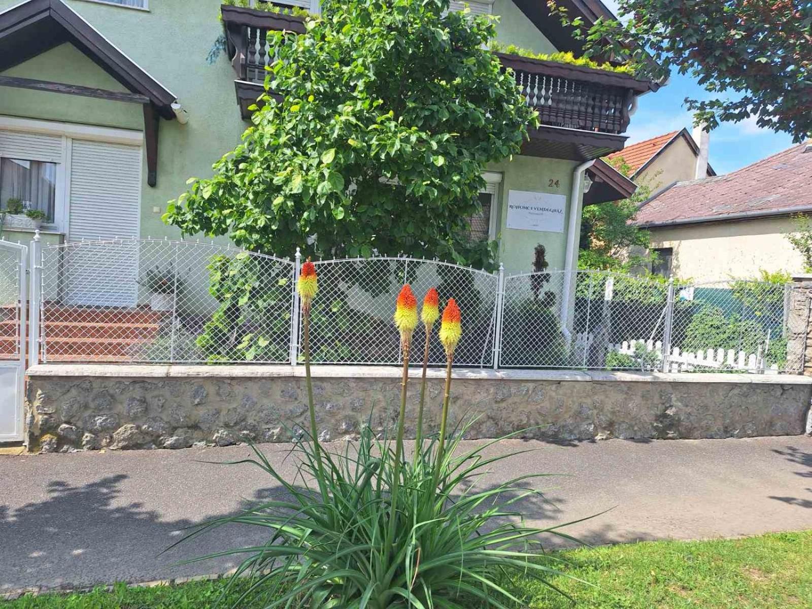 Hotel Rohonci Vendeghaz Kőszeg Zewnętrze zdjęcie